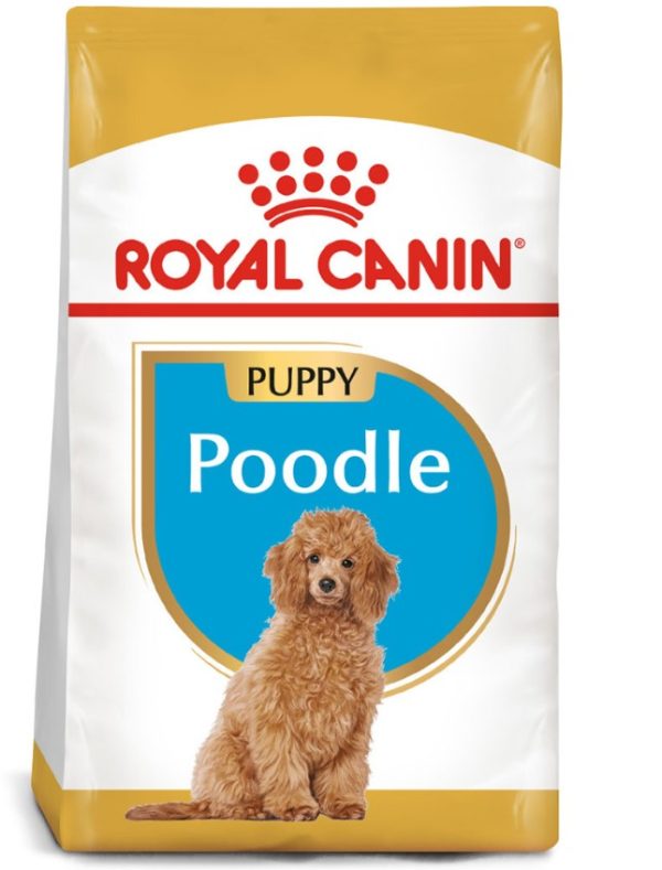 thuc-an-cho-cho-poodle-con-royal-canin-poodle-puppy